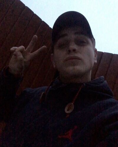  ,   Tvoizombik, 31 ,   