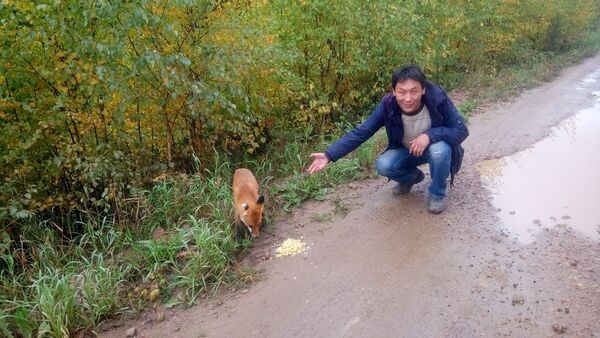  ,   , 51 ,   ,   , c 