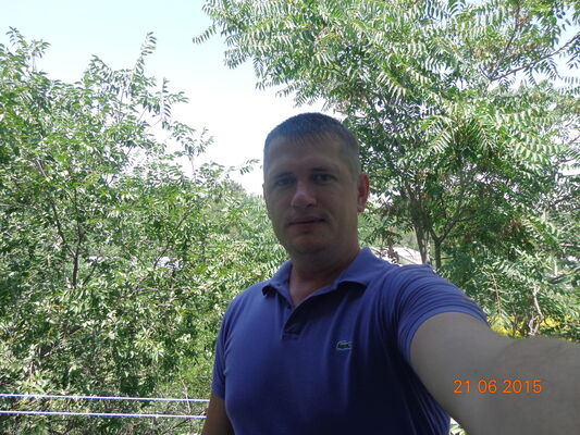  ,   , 41 ,  