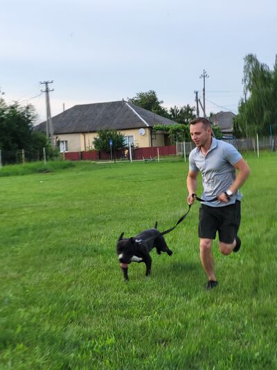  Praha,   Oleh, 29 ,   ,   