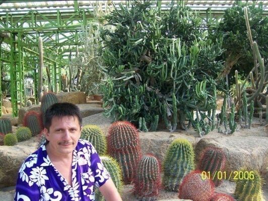  ,   , 58 ,   