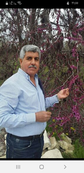  ,   Saadi, 57 ,   ,   , c , 