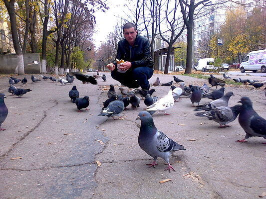  ,   Sergiu, 42 ,   ,   , c 