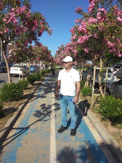  ,   Osman, 43 ,   ,   