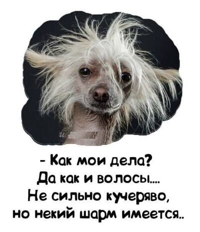  ,   , 53 ,     , c , 