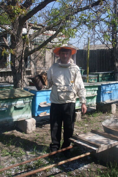  ,   , 66 ,   ,   , c , 