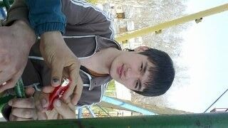  ,   Narchik, 31 ,   ,   , c 