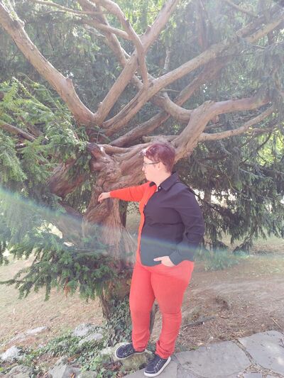  Sint-Truiden,   , 27 ,   c , 