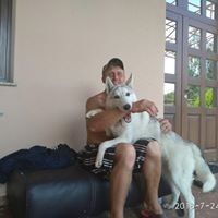  ,   , 51 ,   