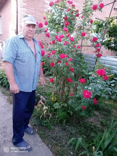  ,   , 60 ,   ,   