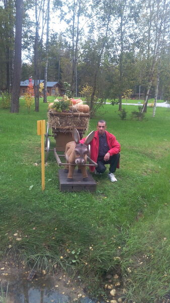  ,   , 50 ,   ,   , c 