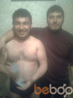  ,   Hama, 31 ,   