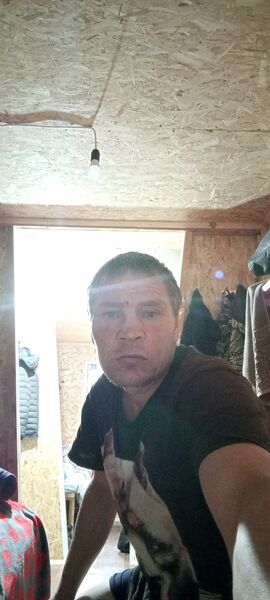  ,   , 46 ,   ,   