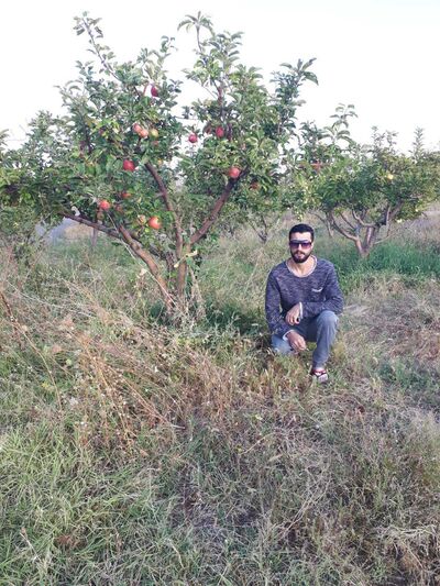  ,   Armen, 36 ,   ,   