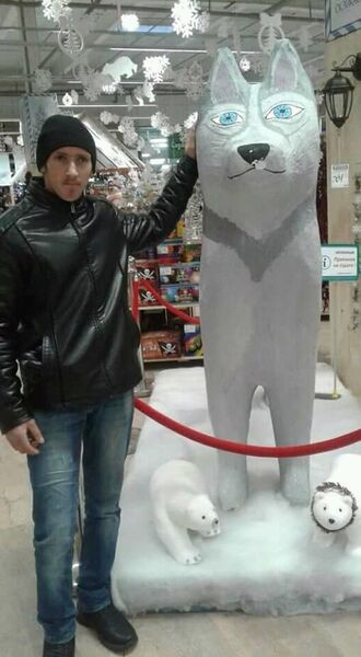  ,   DIMA, 31 ,  