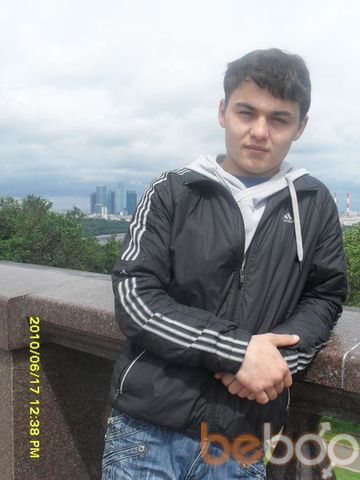   ,   , 33 ,   