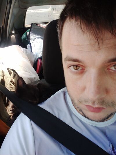  ,   , 38 ,     , c , 