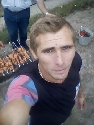  17668638  , 29 ,    