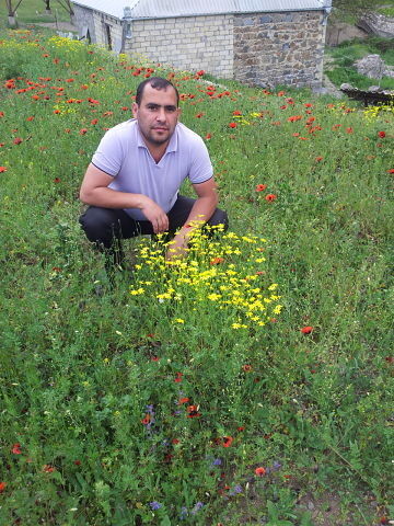  6741758  Rasad, 47 ,    