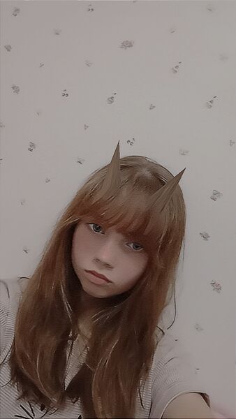  -,   , 20 ,  