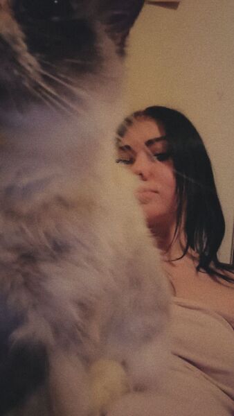  ,   LIKA, 28 ,     , c 