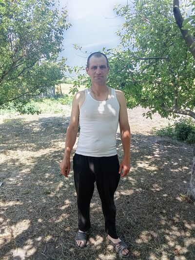  --,   , 37 ,   ,   