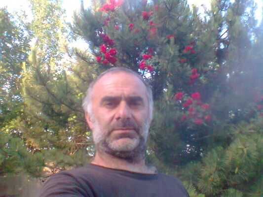   ,   , 49 ,  