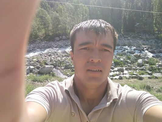  ,   Hayot gozal, 33 ,   ,   , c , 