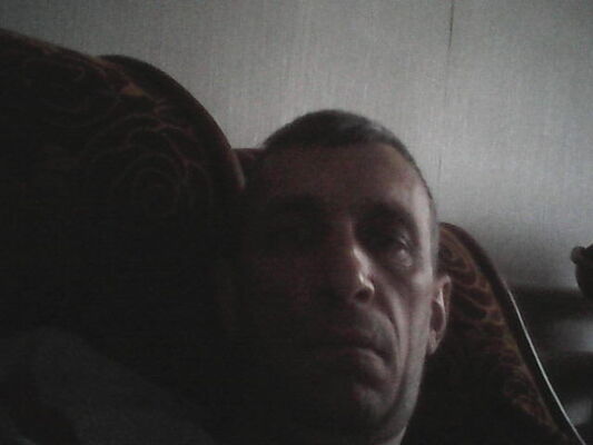  ,   Samsa samsa, 48 ,   