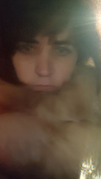  ,   Povetrulja, 49 ,   , 