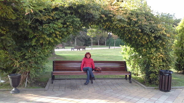  -,   , 61 ,   ,   , c 