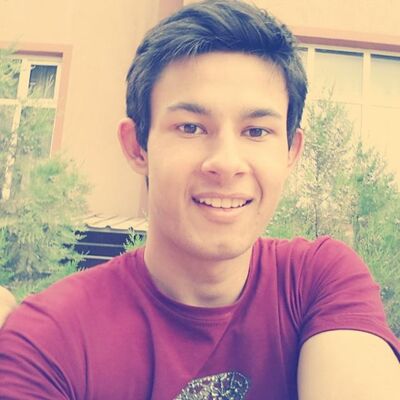  ,   Timur, 33 ,   ,   , c 