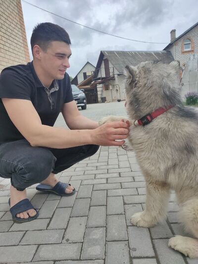  ,   Petyan, 32 ,   ,   