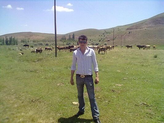  ,   Tolgahan, 29 ,   ,   