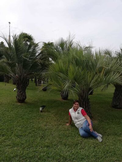  ,   , 61 ,   ,   , c 