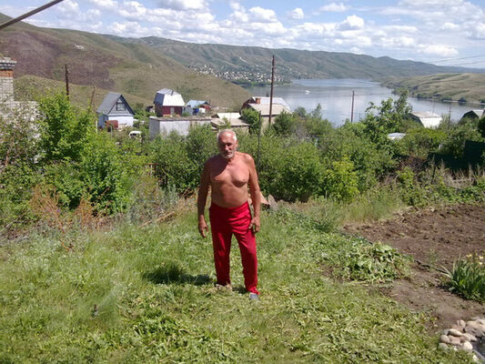  Vaslui,   , 67 ,   