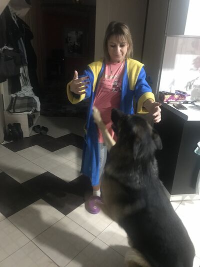   ,   , 51 ,  