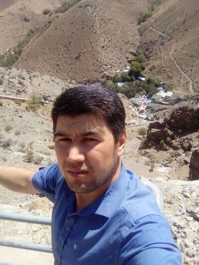  ,   Ulmas, 38 ,   ,   , c 