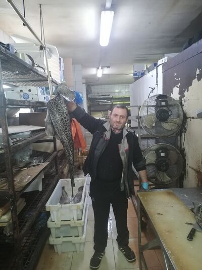  ,   , 48 ,   ,   