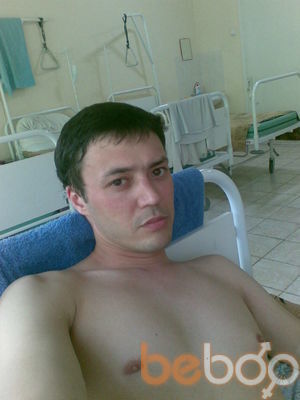  ,   Korol, 46 ,   