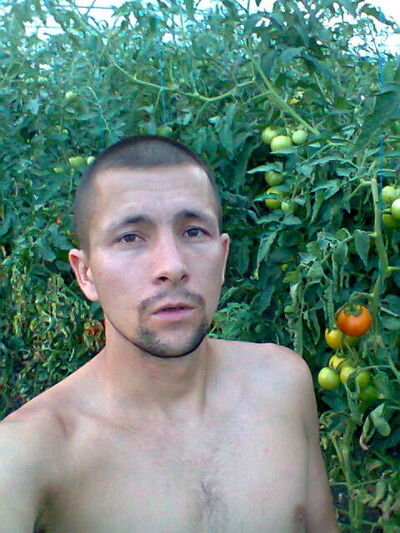  ,   Igor pascari, 37 ,   ,   , c 