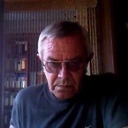  ,   , 61 ,   