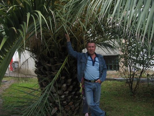  ,   , 60 ,   ,   , c , 