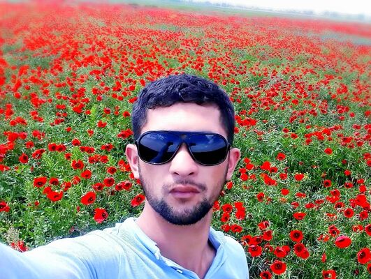  ,   ALI, 31 ,   ,   , c , 