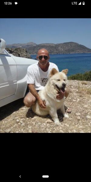  ,   Magni, 59 ,   ,   