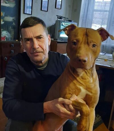  ,   , 66 ,   ,   