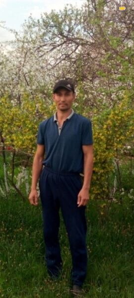  ,   Musa, 45 ,   ,   