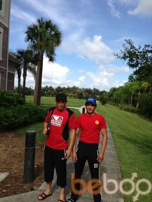  3264478  Demo 123, 40 ,    