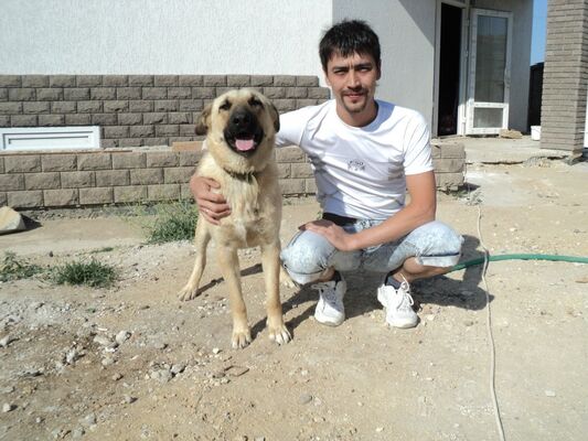  ,   Sulton, 40 ,   