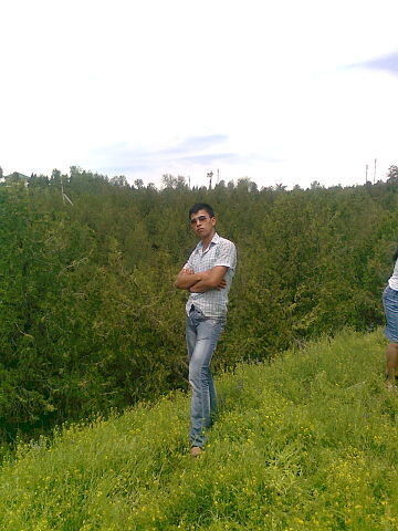  ,   , 34 ,  
